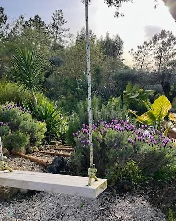 Casa Oliva - Casa Do *