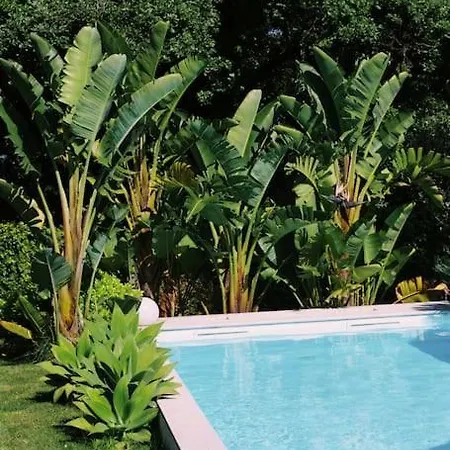 Casa Oliva - Casa Do Apartamento Porto de Mós