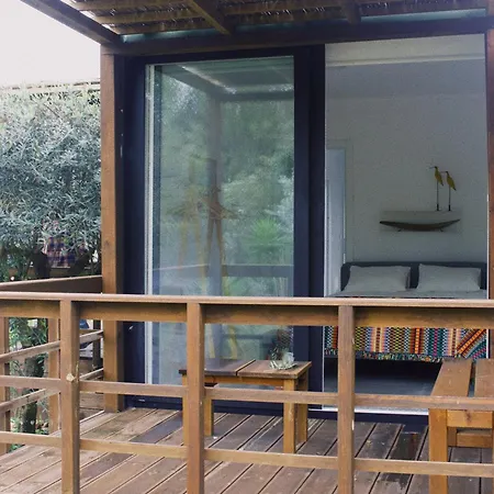 Casa Oliva - Casa Do Porto de Mós