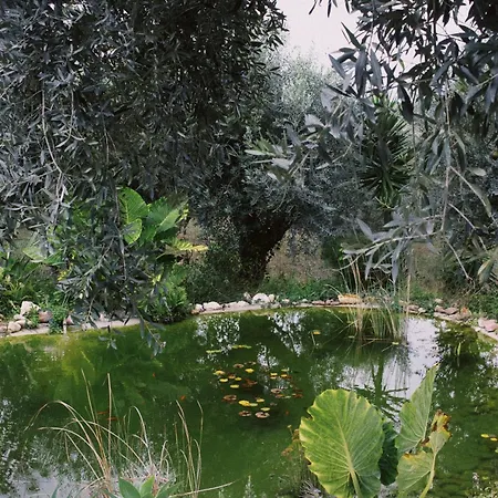 Apartamento Casa Oliva - Casa Do *